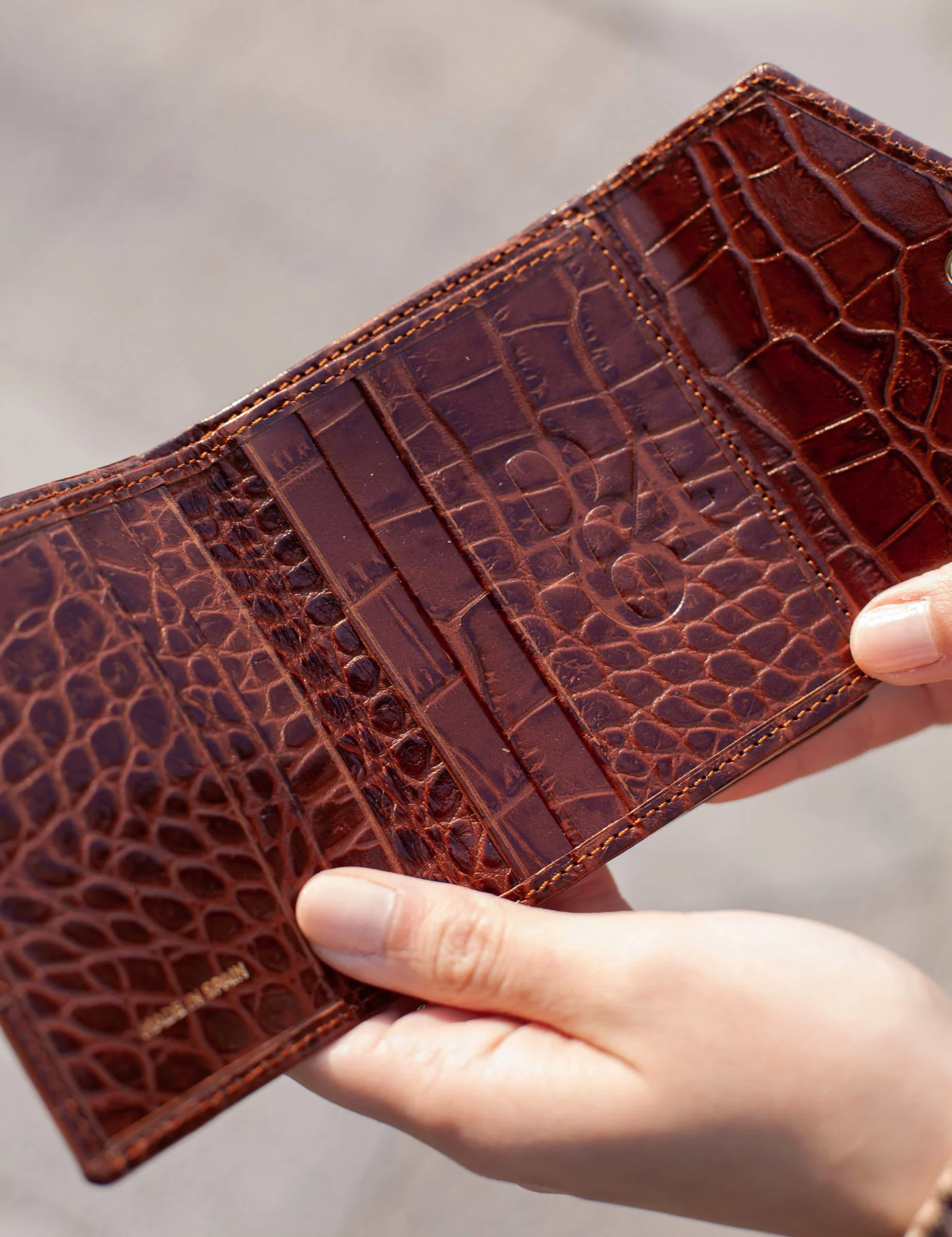 Cartera Mini Rivoli Coco Cognac - Image 3